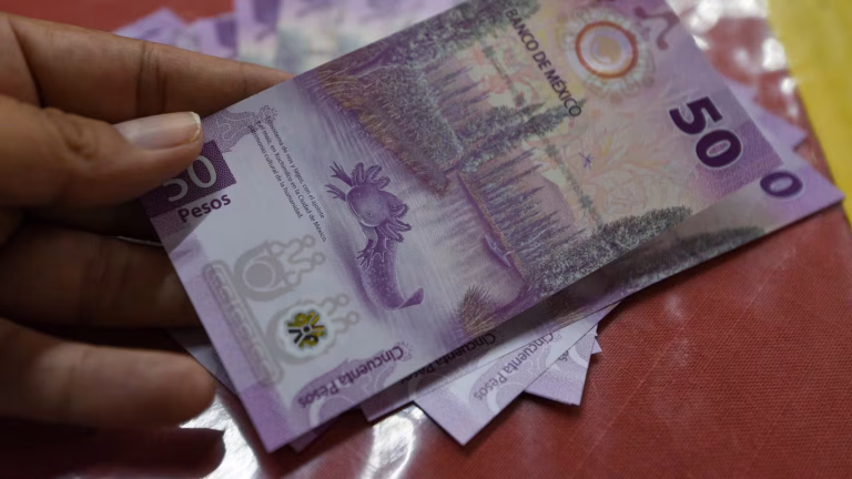 Salario mínimo 2026: la presión fiscal que asfixia a los negocios que pagan el aumento