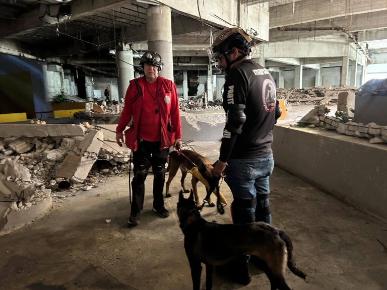 Bomberos de Cancún refuerzan K9 y lanzan curso básico de adiestramiento