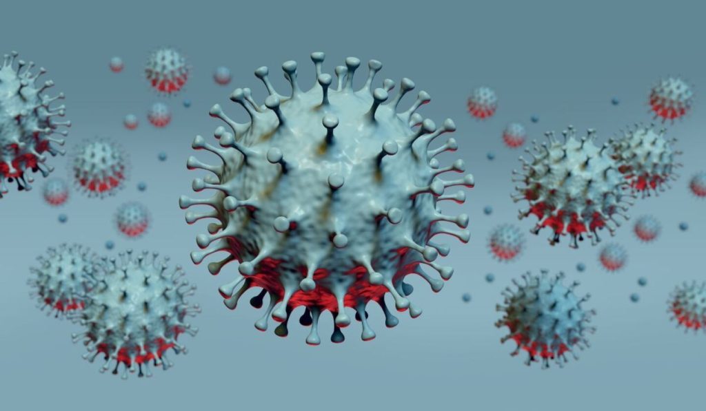 Virus Nipah: Alerta global, letalidad 75% y el riesgo BSL-4