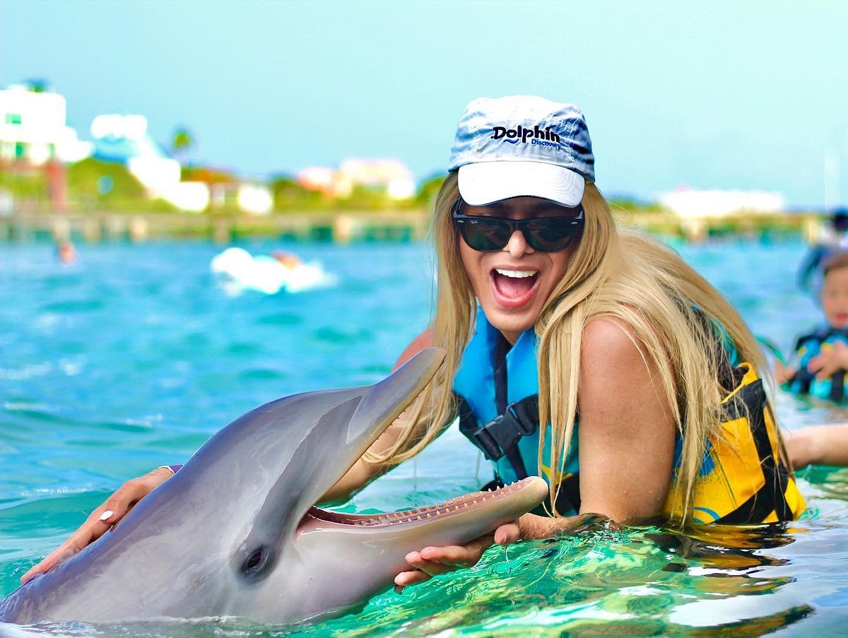Aprovecha los descuentos patrios en Dolphin Discovery y Parque Garrafón este septiembre de 2026