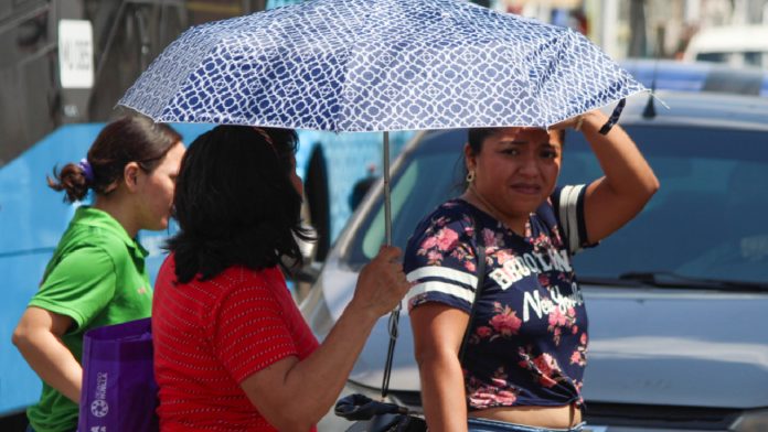 muertes-golpe-calor-quintana-roo-2026 Quintana Roo suma 7 muertes por calor extremo y escala al top nacional
